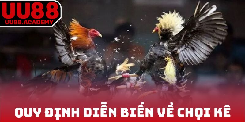 Quy định diễn biến về chọi kê